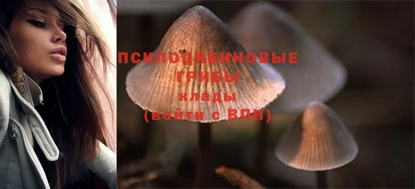 прущая мука Армянск