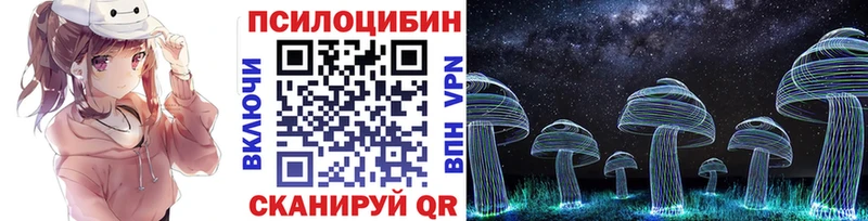 Псилоцибиновые грибы Psilocybe  Липки 